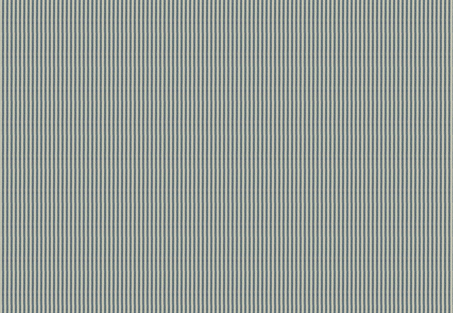 Ткань Fabricut Clean & Classic Indoor/Outdoor Checks & Stripes HikingTicking/Blue