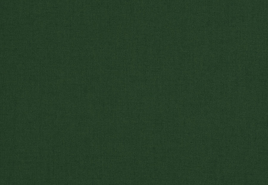 Ткань Fabricut Clean & Classic Indoor/Outdoor Checks & Stripes GreatOutdoors/Pine