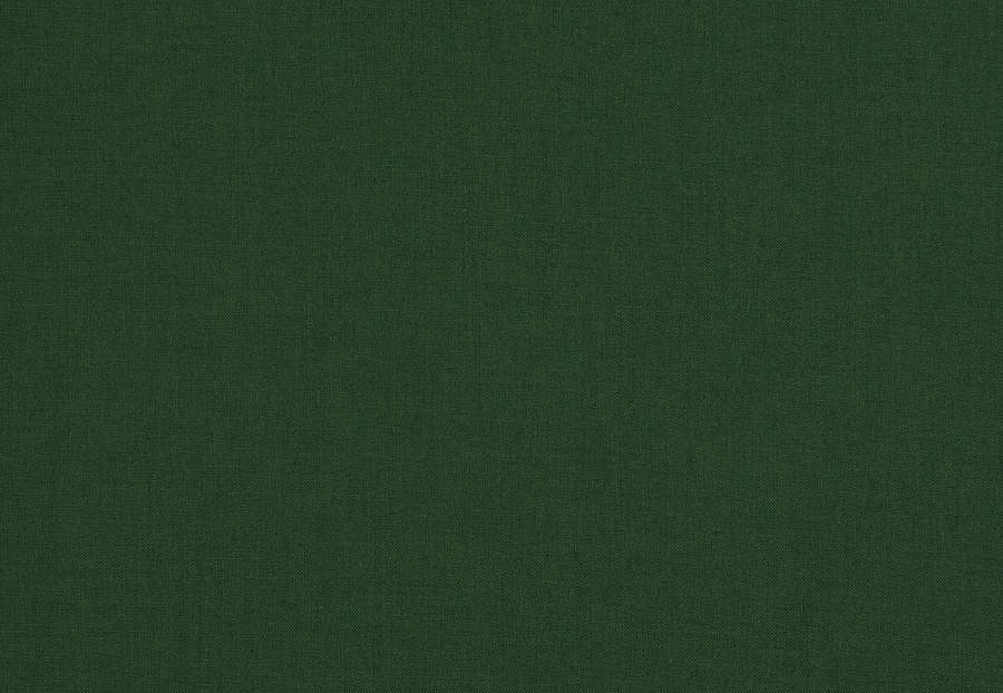 Ткань Fabricut Clean & Classic Indoor/Outdoor Checks & Stripes GreatOutdoors/Pine