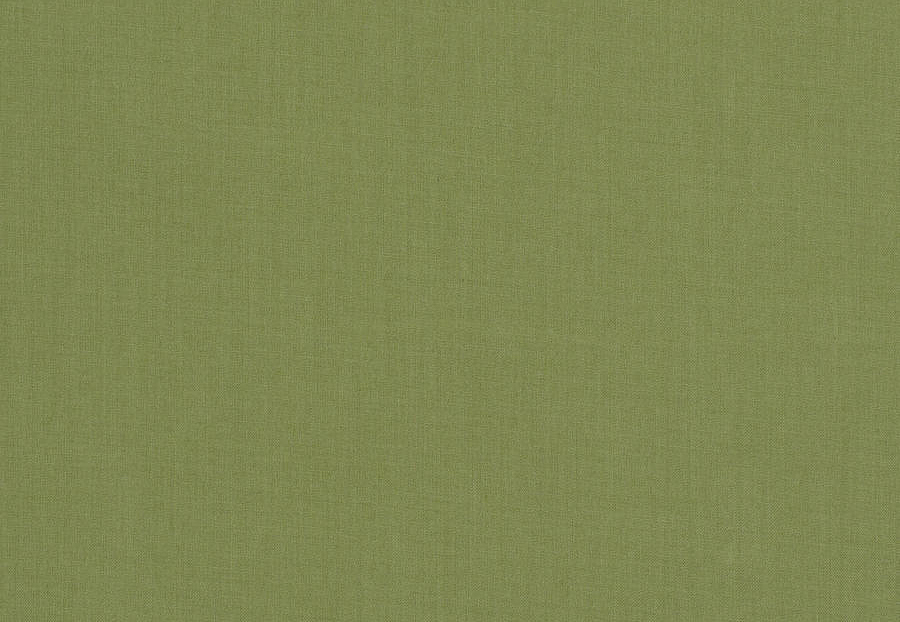 Ткань Fabricut Clean & Classic Indoor/Outdoor Checks & Stripes GreatOutdoors/Celery