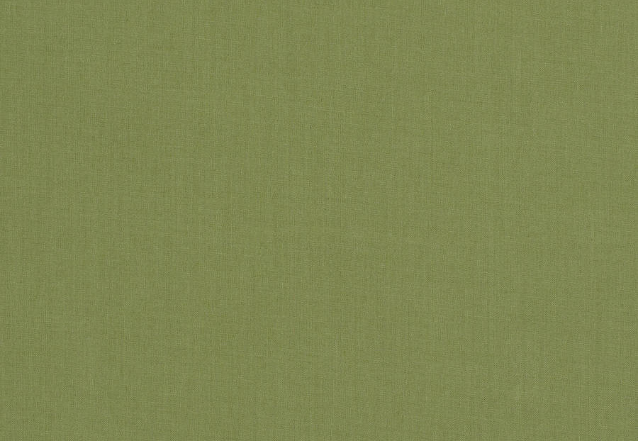 Ткань Fabricut Clean & Classic Indoor/Outdoor Checks & Stripes GreatOutdoors/Celery