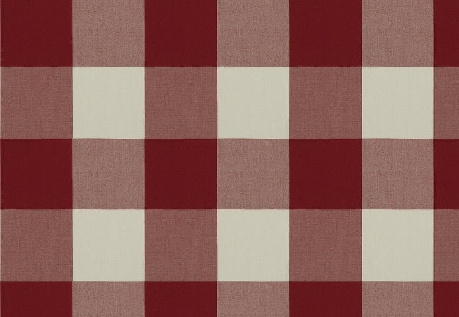 Ткань Fabricut Clean & Classic Indoor/Outdoor Checks & Stripes CampingCheck/Ruby