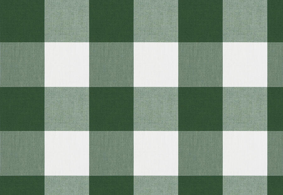 Ткань Fabricut Clean & Classic Indoor/Outdoor Checks & Stripes CampingCheck/Pine