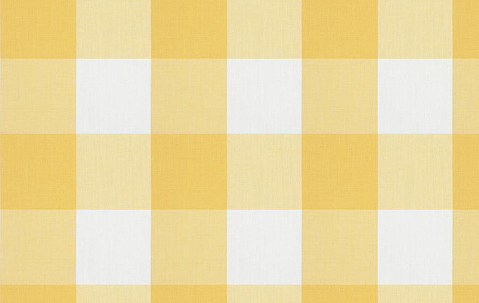 Американская ткань Fabricut, коллекция Clean & Classic Indoor/Outdoor Checks & Stripes, артикул CampingCheck/Lemon