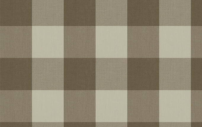 Американская ткань Fabricut, коллекция Clean & Classic Indoor/Outdoor Checks & Stripes, артикул CampingCheck/Hemp