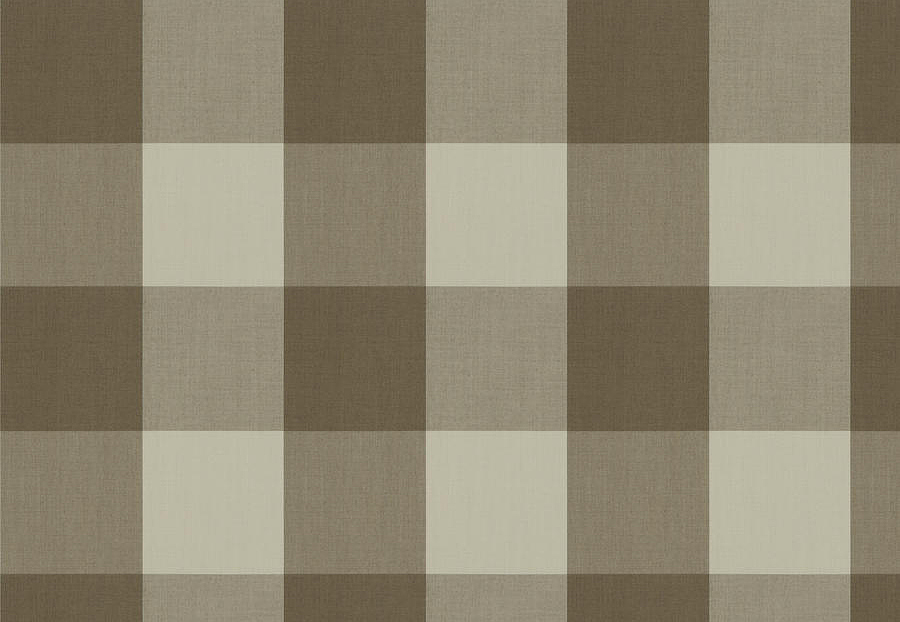 Ткань Fabricut Clean & Classic Indoor/Outdoor Checks & Stripes CampingCheck/Hemp