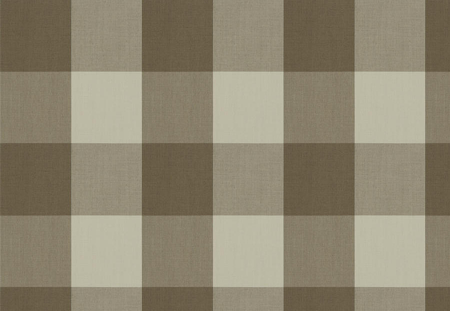 Ткань Fabricut Clean & Classic Indoor/Outdoor Checks & Stripes CampingCheck/Hemp
