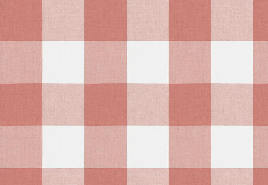 Ткань Fabricut Clean & Classic Indoor/Outdoor Checks & Stripes CampingCheck/Coral