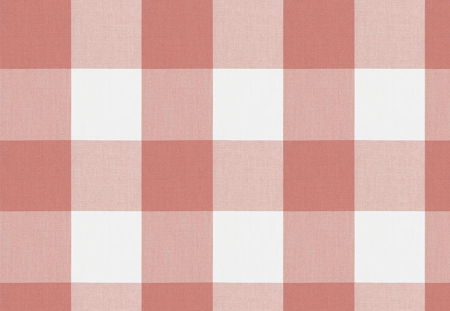Ткань Fabricut Clean & Classic Indoor/Outdoor Checks & Stripes CampingCheck/Coral