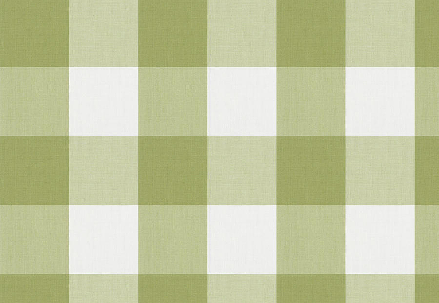 Ткань Fabricut Clean & Classic Indoor/Outdoor Checks & Stripes CampingCheck/Celery