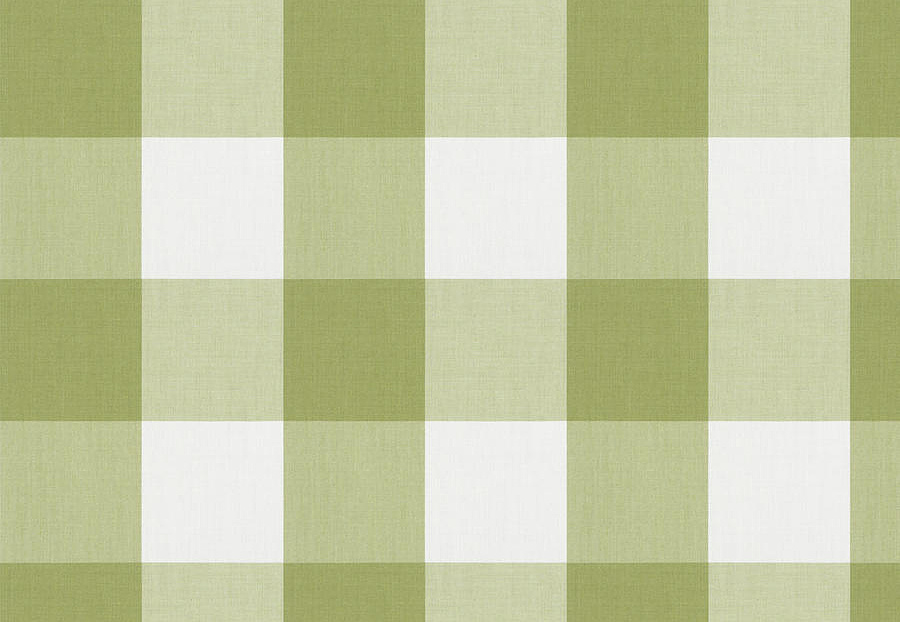 Ткань Fabricut Clean & Classic Indoor/Outdoor Checks & Stripes CampingCheck/Celery