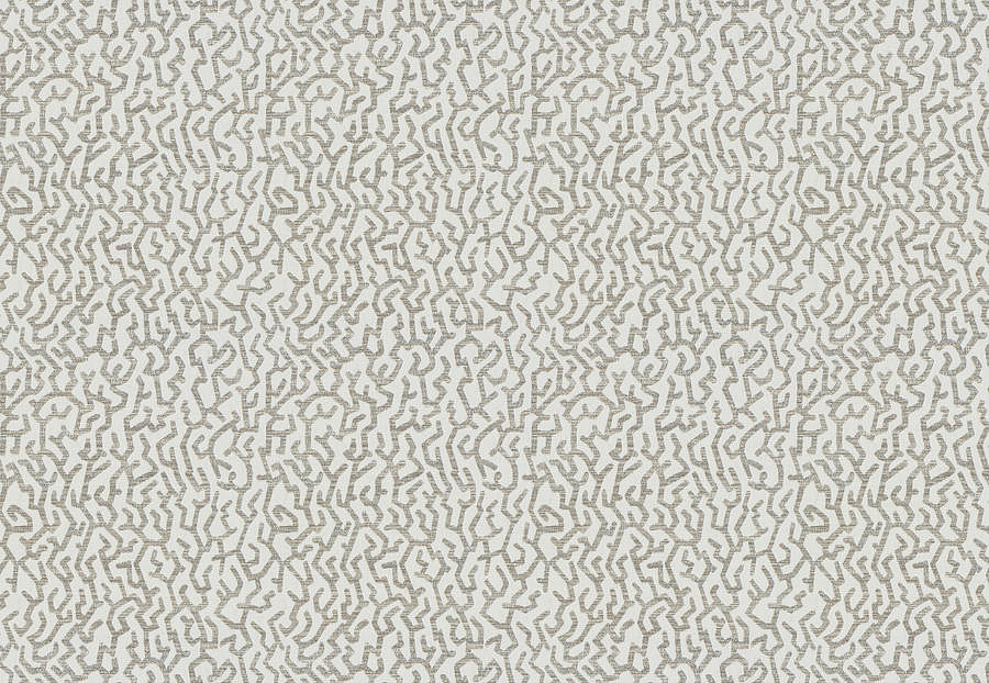 Ткань Fabricut Chromatics Vol.XXVI Ecru Wawel/Platinum