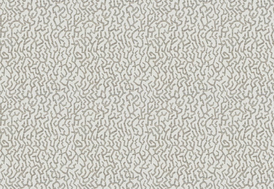 Ткань Fabricut Chromatics Vol.XXVI Ecru Wawel/Platinum