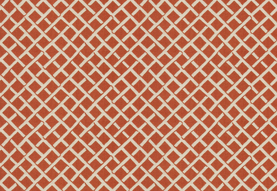 Ткань Stroheim Dana Gibson Prints II Clark/Persimmon