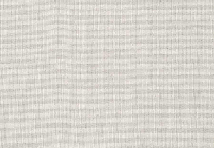 Ткань Stroheim Dana Gibson Prints II Meriwether/White