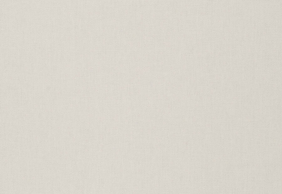 Ткань Stroheim Dana Gibson Prints II Meriwether/White