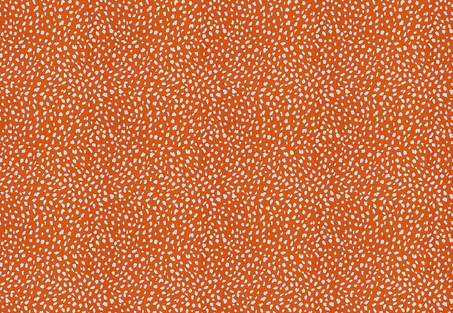 Ткань Stroheim Dana Gibson Prints II Little ditty/Orange