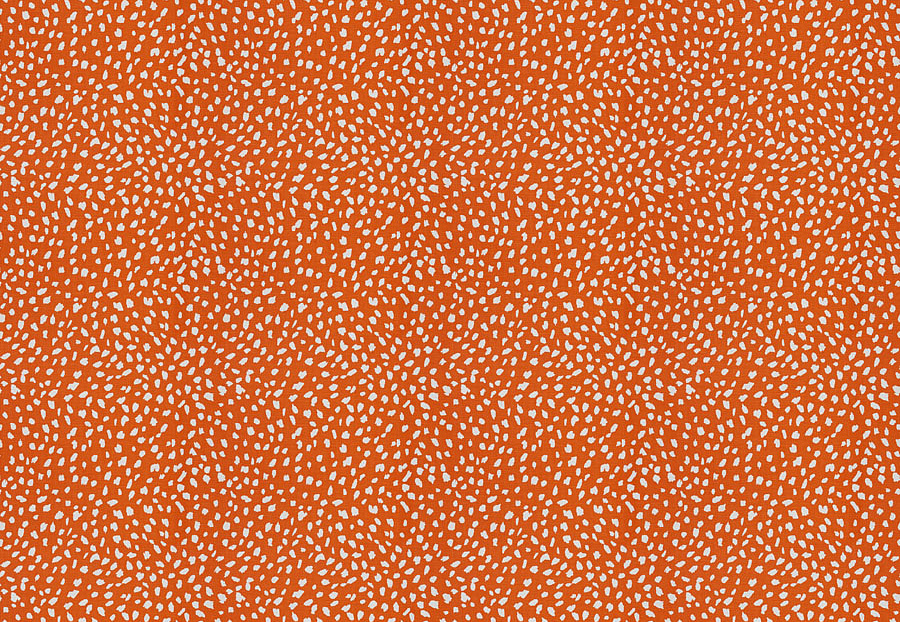 Ткань Stroheim Dana Gibson Prints II Little ditty/Orange