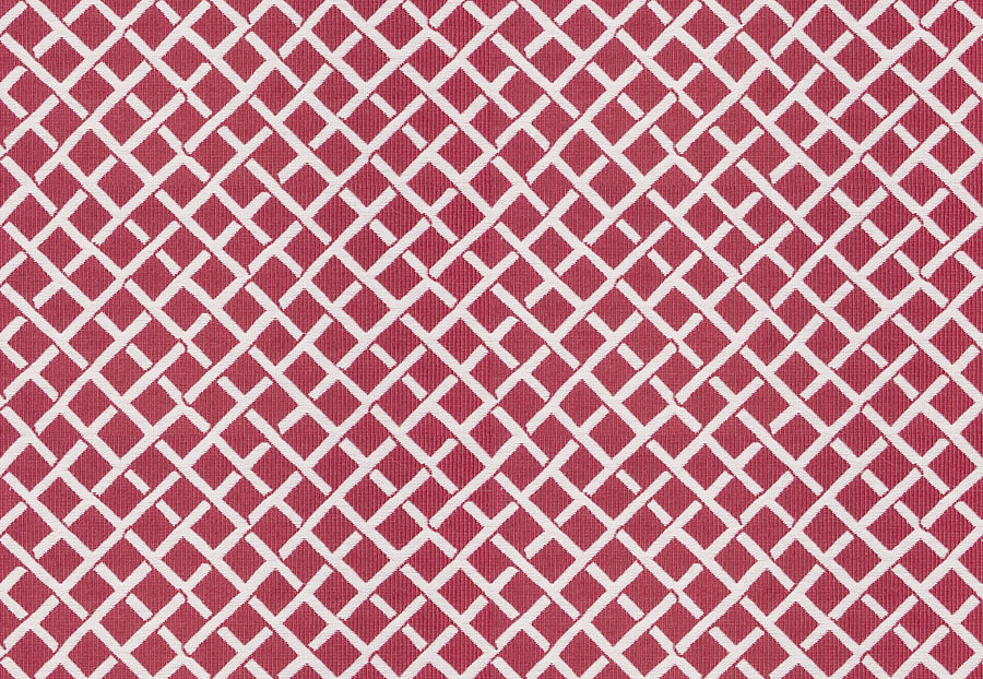 Ткань Stroheim Dana Gibson Prints II Clark/Bouganvillea