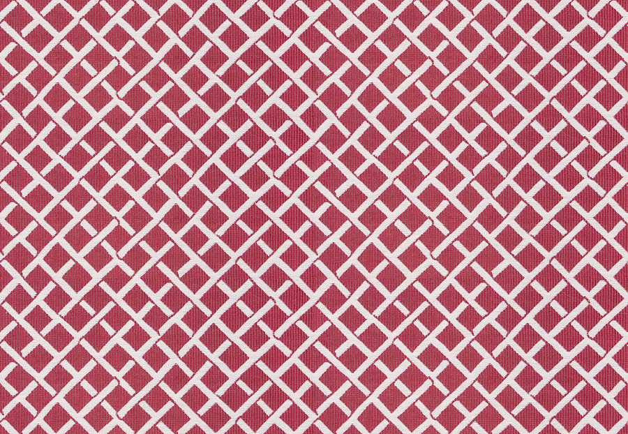 Ткань Stroheim Dana Gibson Prints II Clark/Bouganvillea