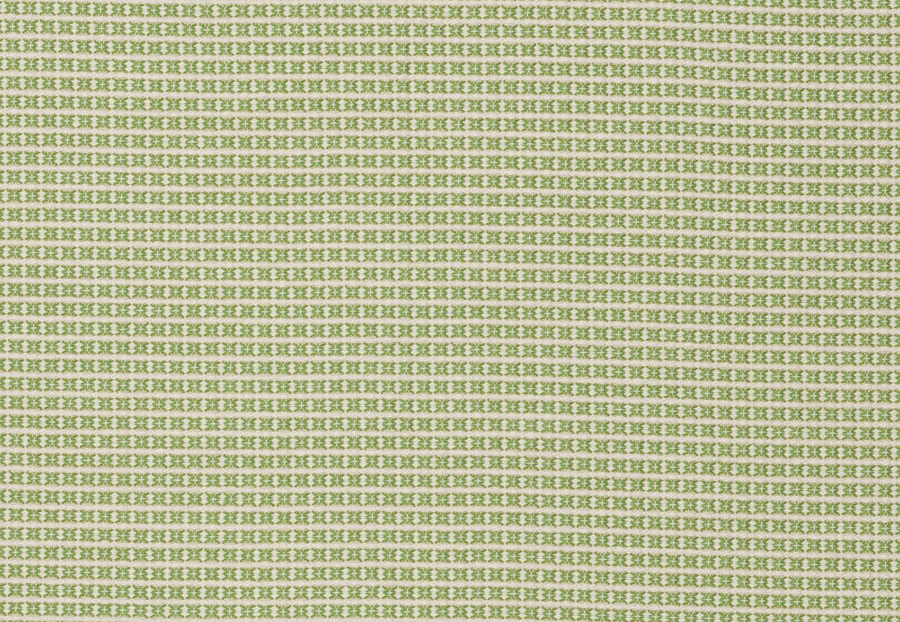 Ткань Stroheim Dana Gibson Prints II Wingo/Spring green