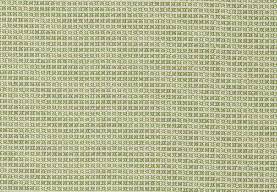 Ткань Stroheim Dana Gibson Prints II Wingo/Spring green