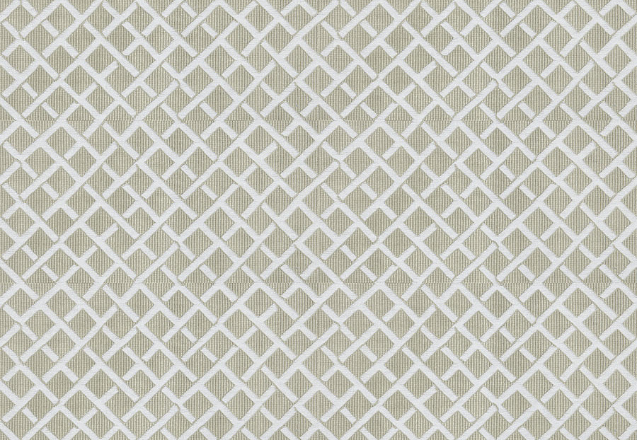 Ткань Stroheim Dana Gibson Prints II Clark/Pebble