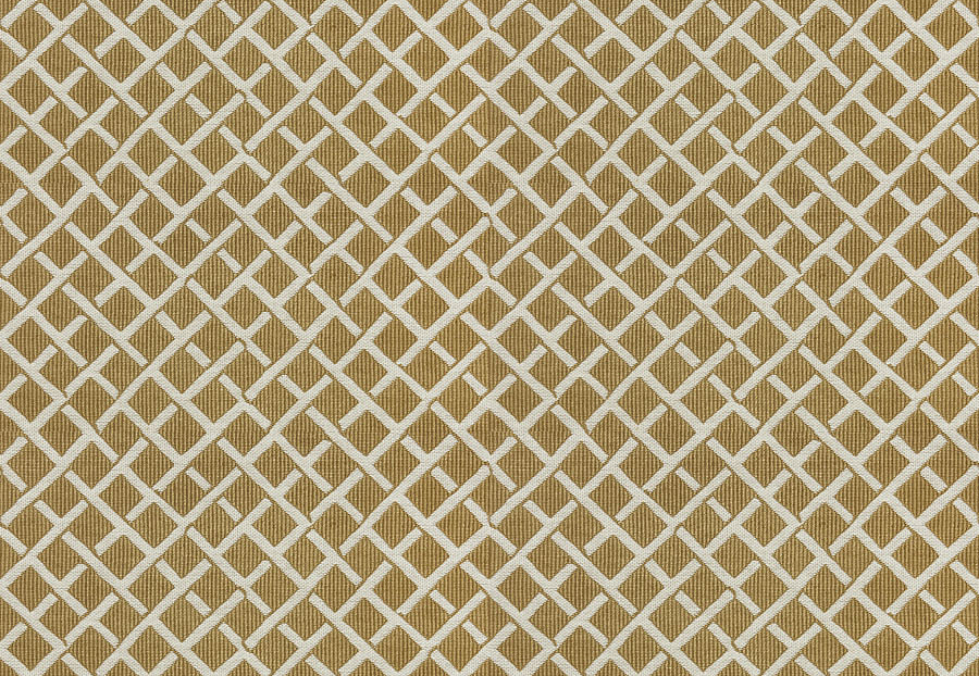 Ткань Stroheim Dana Gibson Prints II Clark/Camel