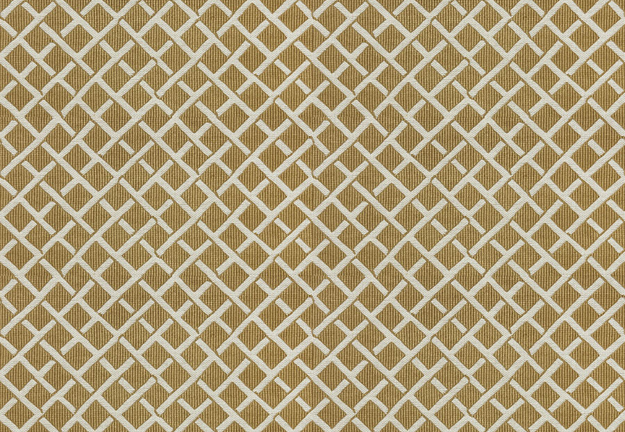 Ткань Stroheim Dana Gibson Prints II Clark/Camel
