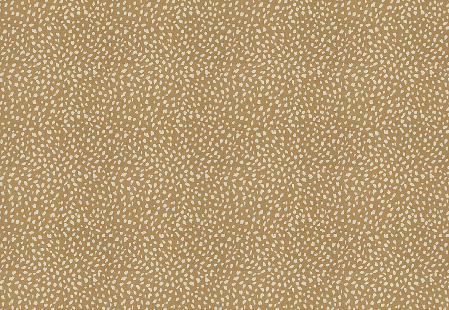 Ткань Stroheim Dana Gibson Prints II Little ditty/Camel