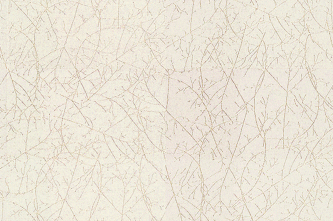 Ткань Kravet Calvin Klein Home Quartzite 29902/1