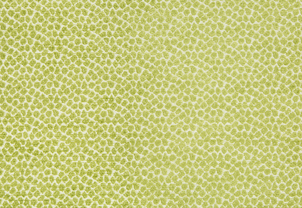 Ткань Kravet Gis Performance Agave 34682/3