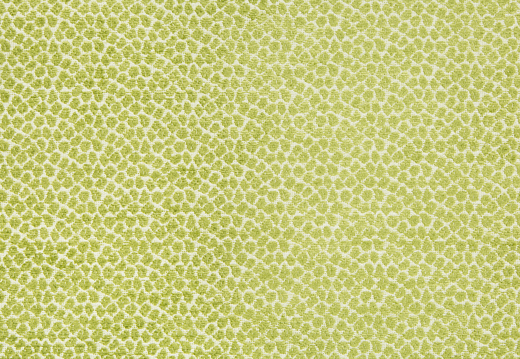 Ткань Kravet Gis Performance Agave 34682/3