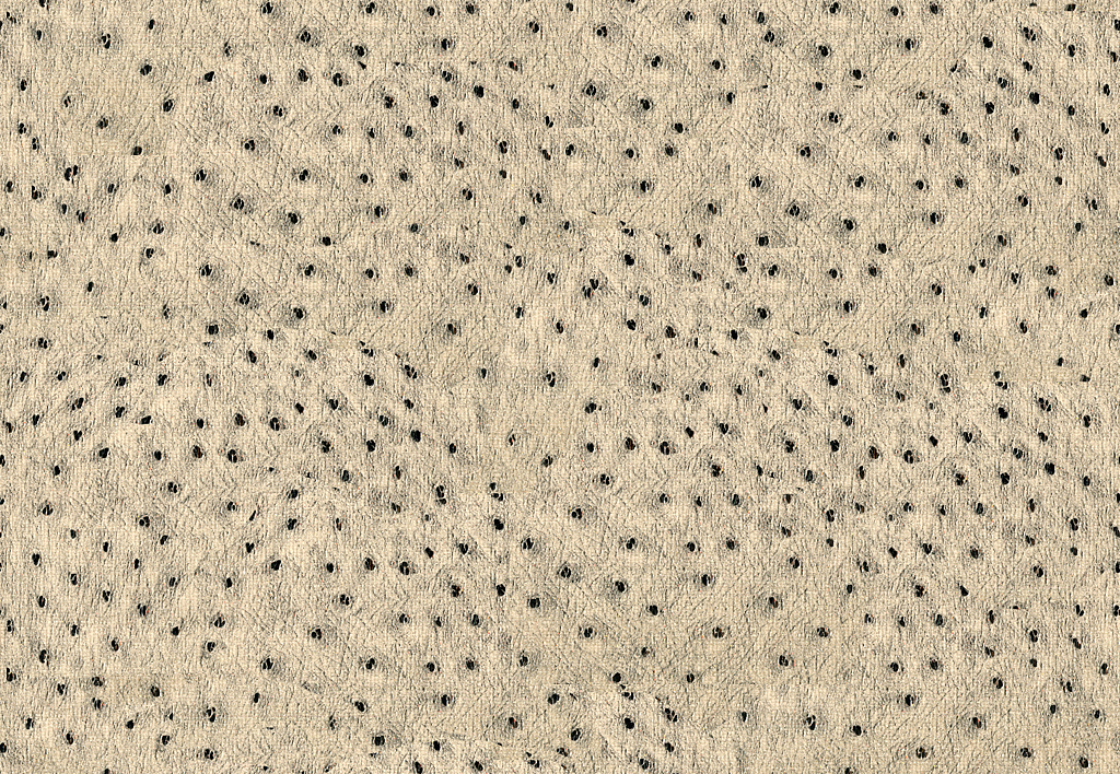 Ткань Kravet Modern Luxe Mica 32515/101