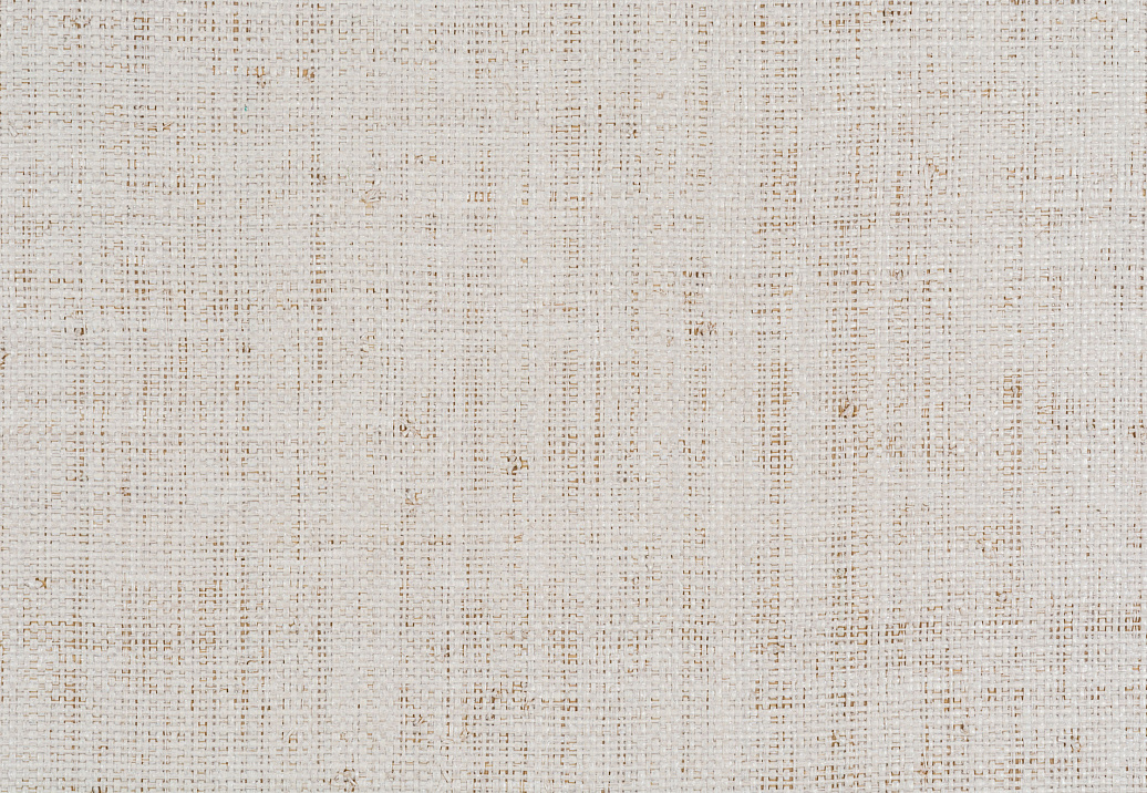 Ткань Kravet Modern Luxe Platinum W3267/1