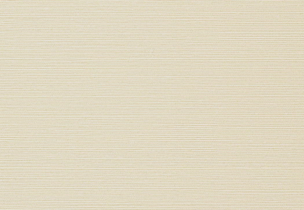 Обои Thibaut Texture Resource 6 TWW75145