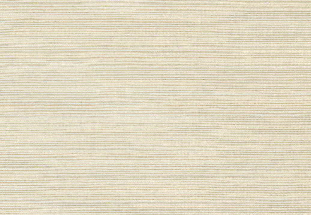 Обои Thibaut Texture Resource 6 TWW75145
