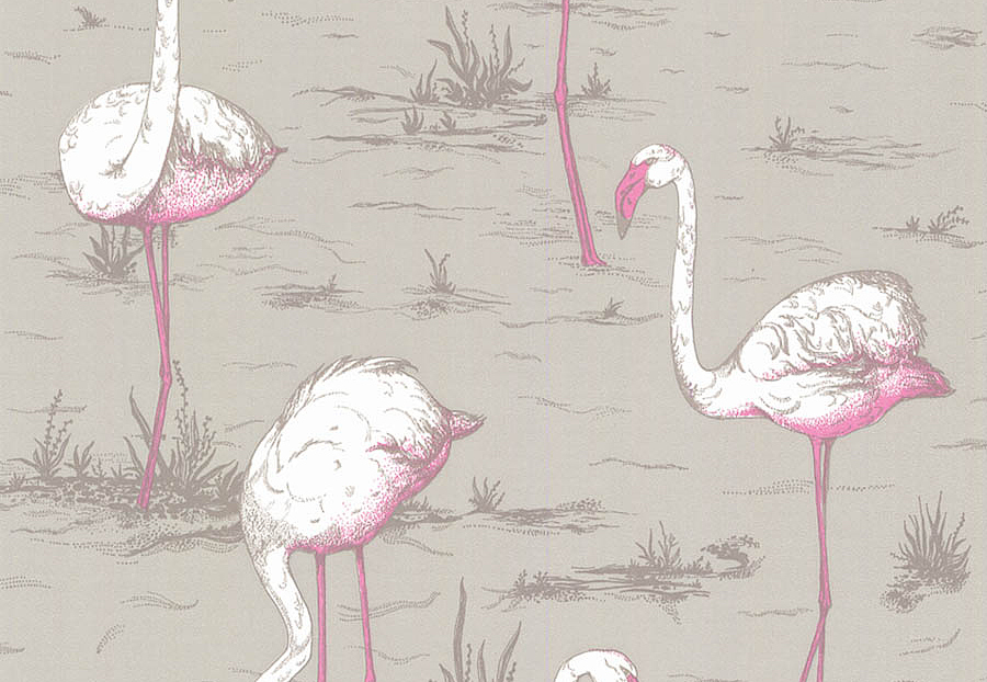 Обои Cole & Son The Contemporary Collection 66-6042