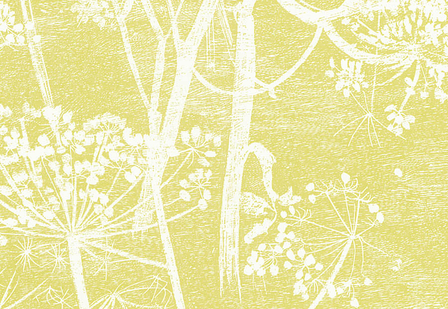 Обои Cole & Son The Contemporary Collection 66-7051