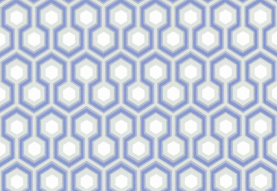 Обои Cole & Son The Contemporary Collection 66-8054