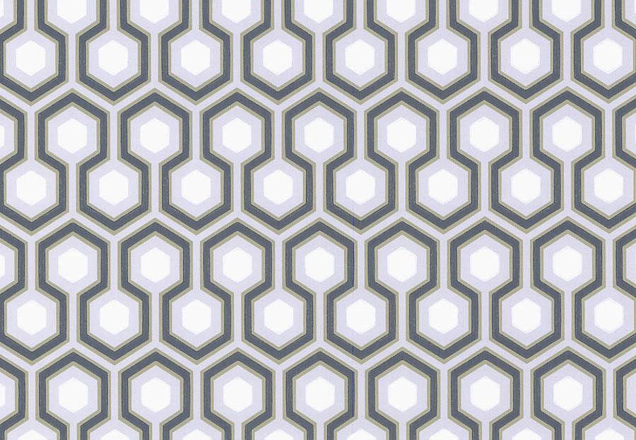 Обои Cole & Son The Contemporary Collection 66-8055