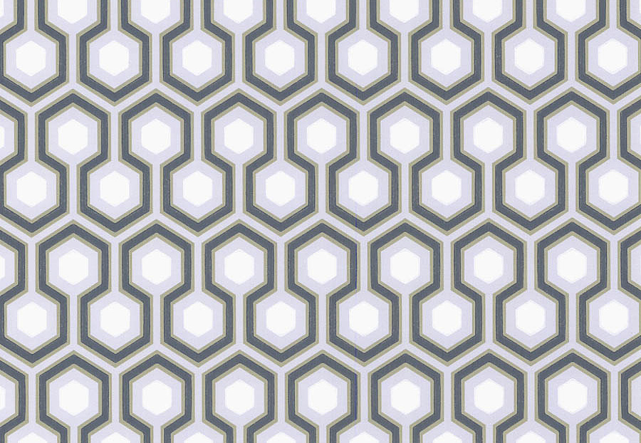 Обои Cole & Son The Contemporary Collection 66-8055