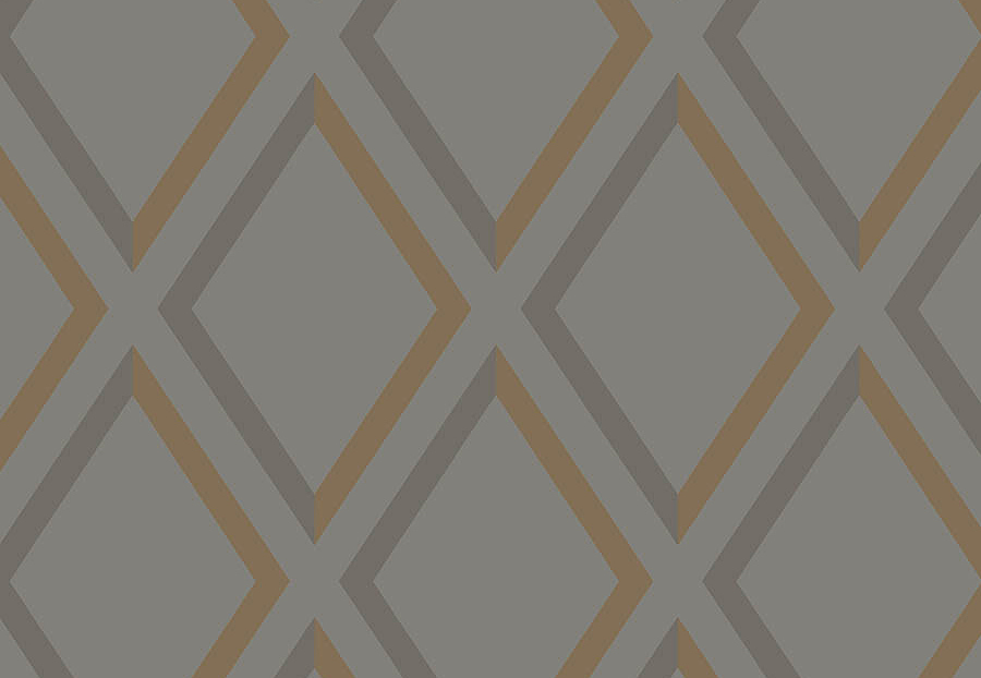 Обои Cole & Son The Contemporary Collection 95-11062