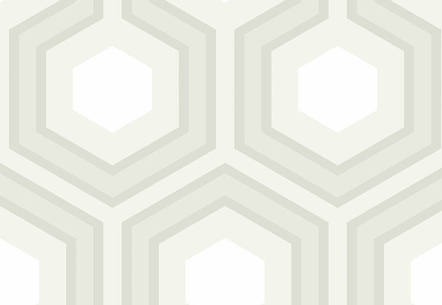 Обои Cole & Son The Contemporary Collection 95-6037