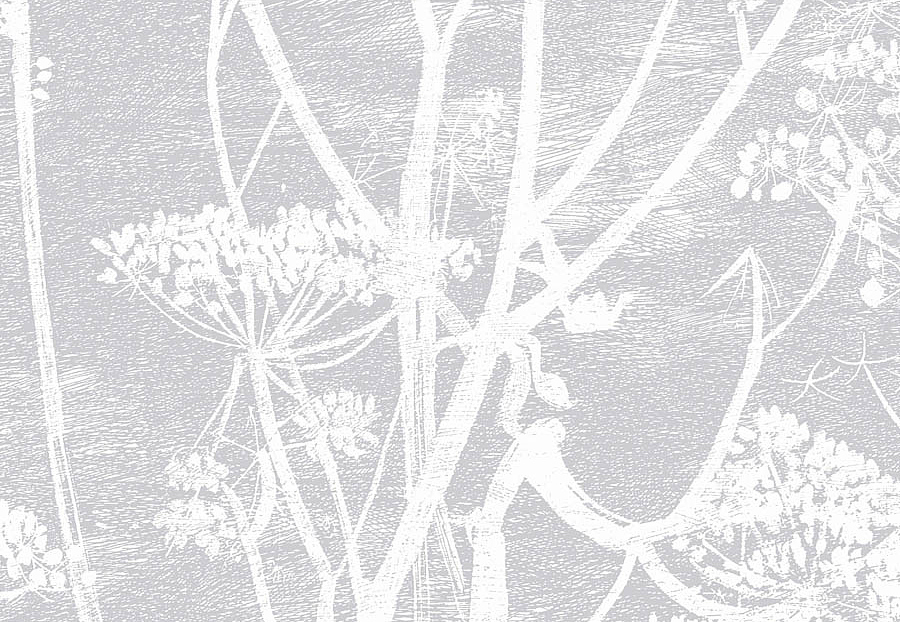 Обои Cole & Son The Contemporary Collection 95-9049