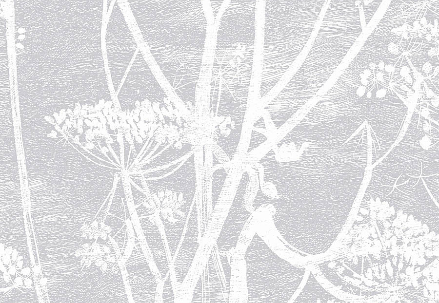 Обои Cole & Son The Contemporary Collection 95-9049