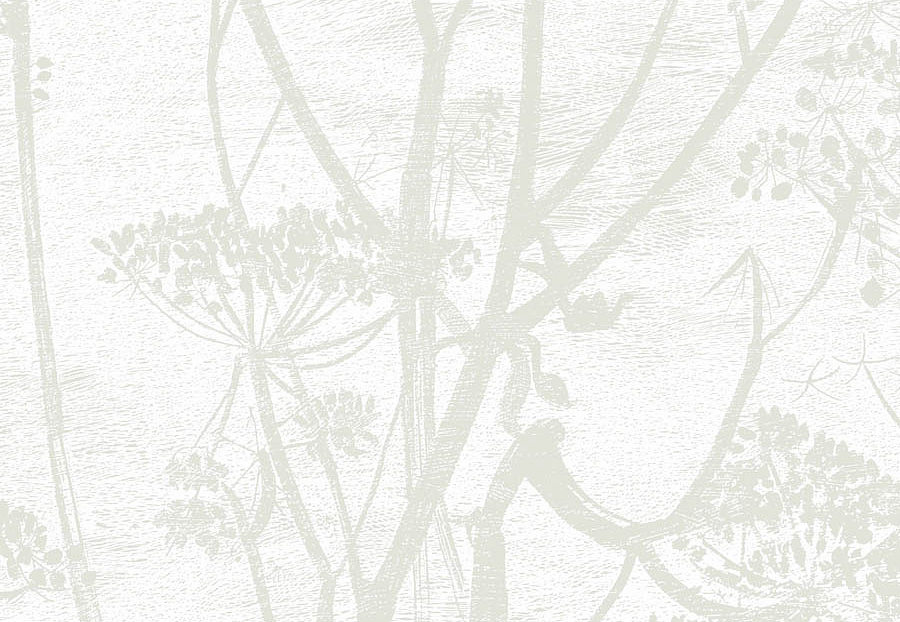 Обои Cole & Son The Contemporary Collection 95-9052