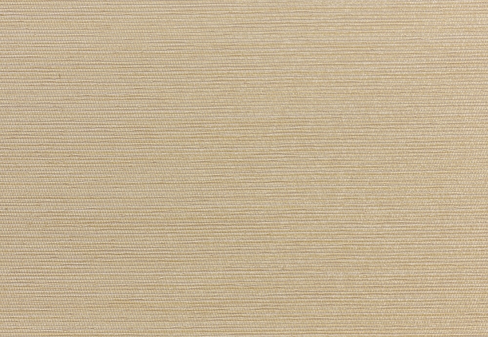 Обои Dedar Rafia & Metallo D14006/006