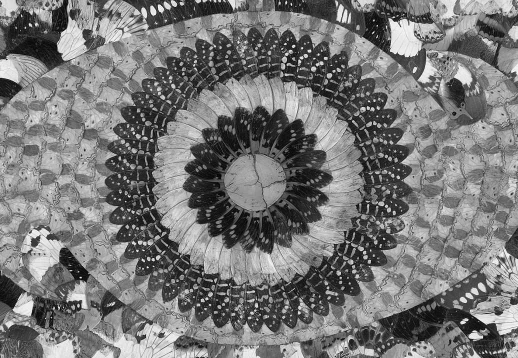 Панно и фотообои Tecnografica Collection 2019 69809-2