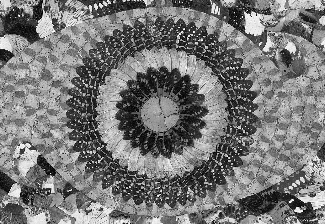 Панно и фотообои Tecnografica Collection 2019 69809-2
